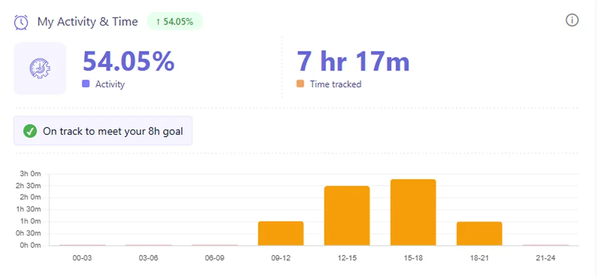 Activity monitoring view showing work activity patterns